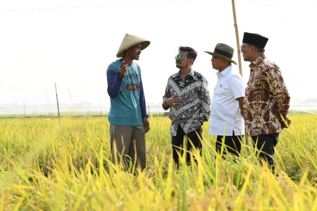 Bagaimana generasi muda mengembangkan industri pertanian pada era reformasi