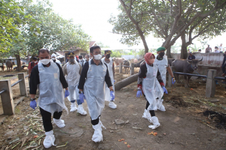 Kementerian Pertanian - Wujudkan Jateng Zero PMK, Mentan SYL Tinjau Vaksinasi di Grobogan