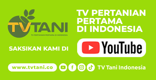 TV Tani